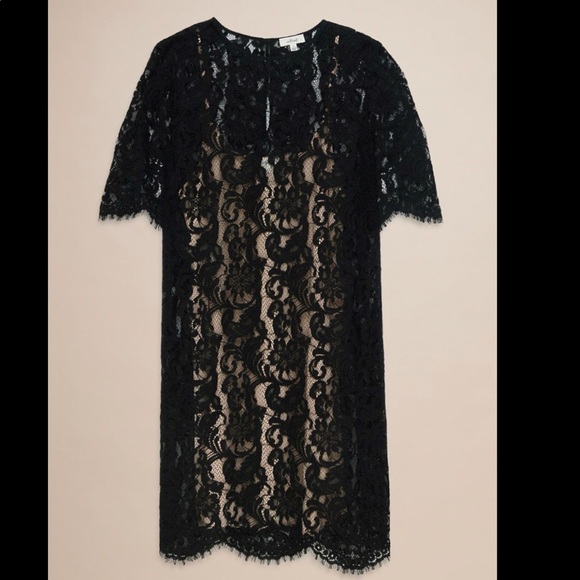 Wilfred lace dress - Picture 1 of 2